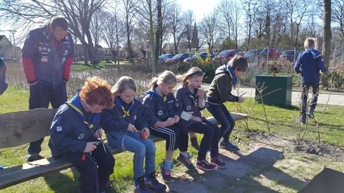 GEEF JE NU OP voor onze kampen !