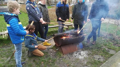 Opkomsten Dolfijnen
