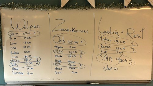 BOERENKOOL