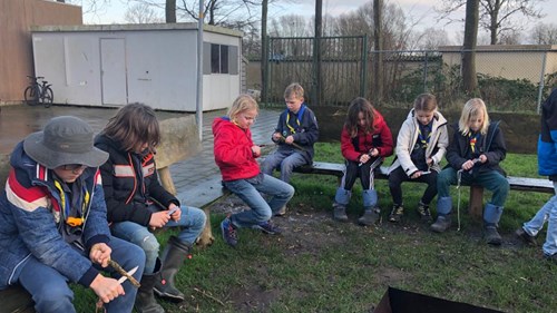 Opkomst welpen