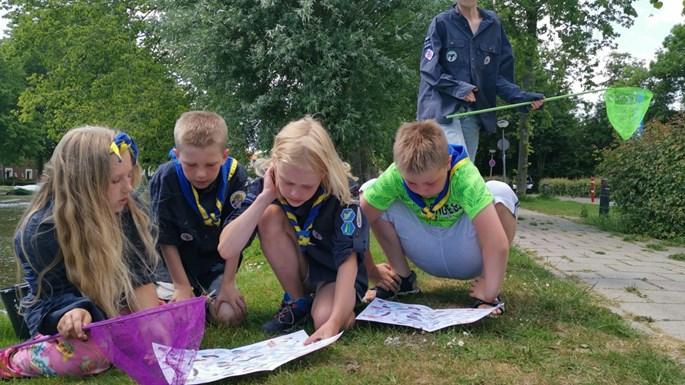 Welpen