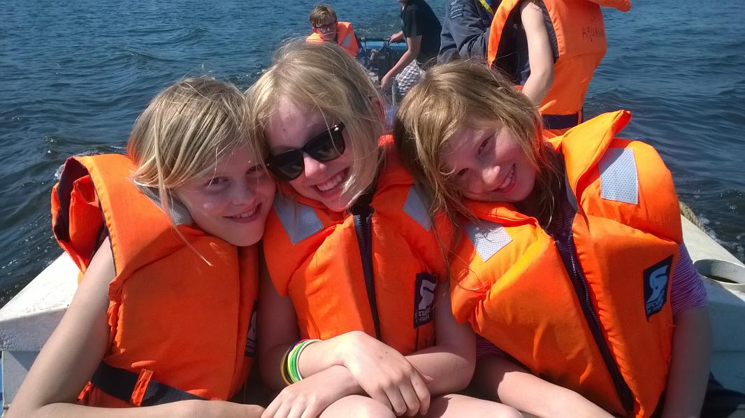 Dolfijnen weer het water op!