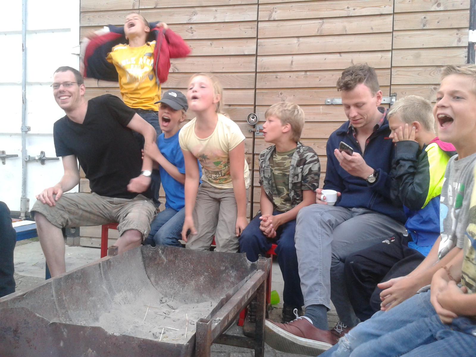 Opgave kampen dolfijnen