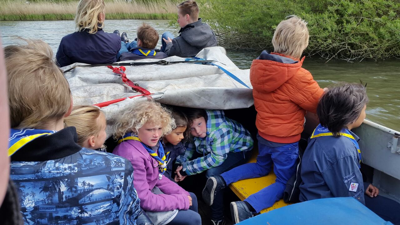 Vaartochten met dolfijnen