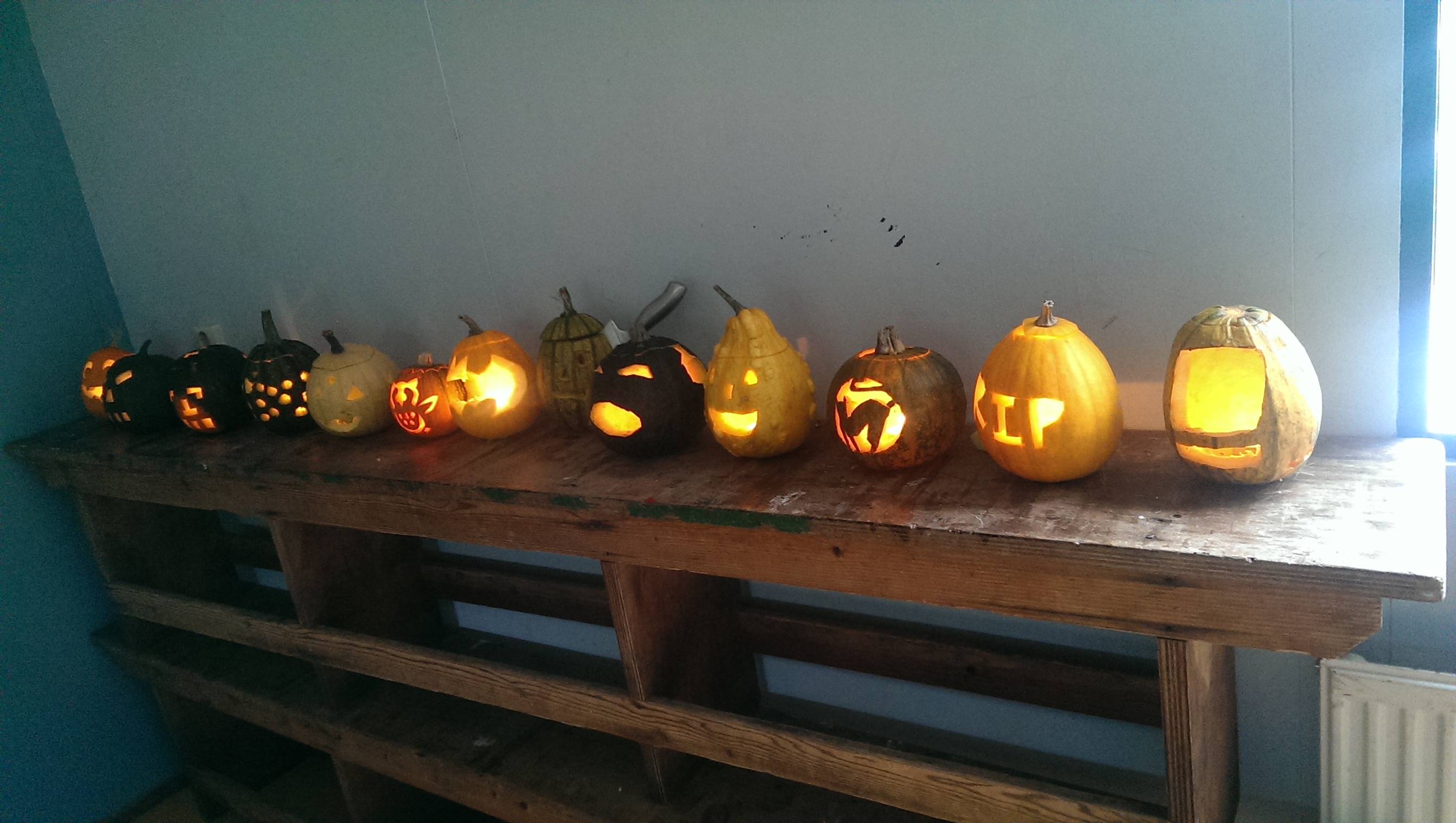 Pompoenen voor Bikkels!