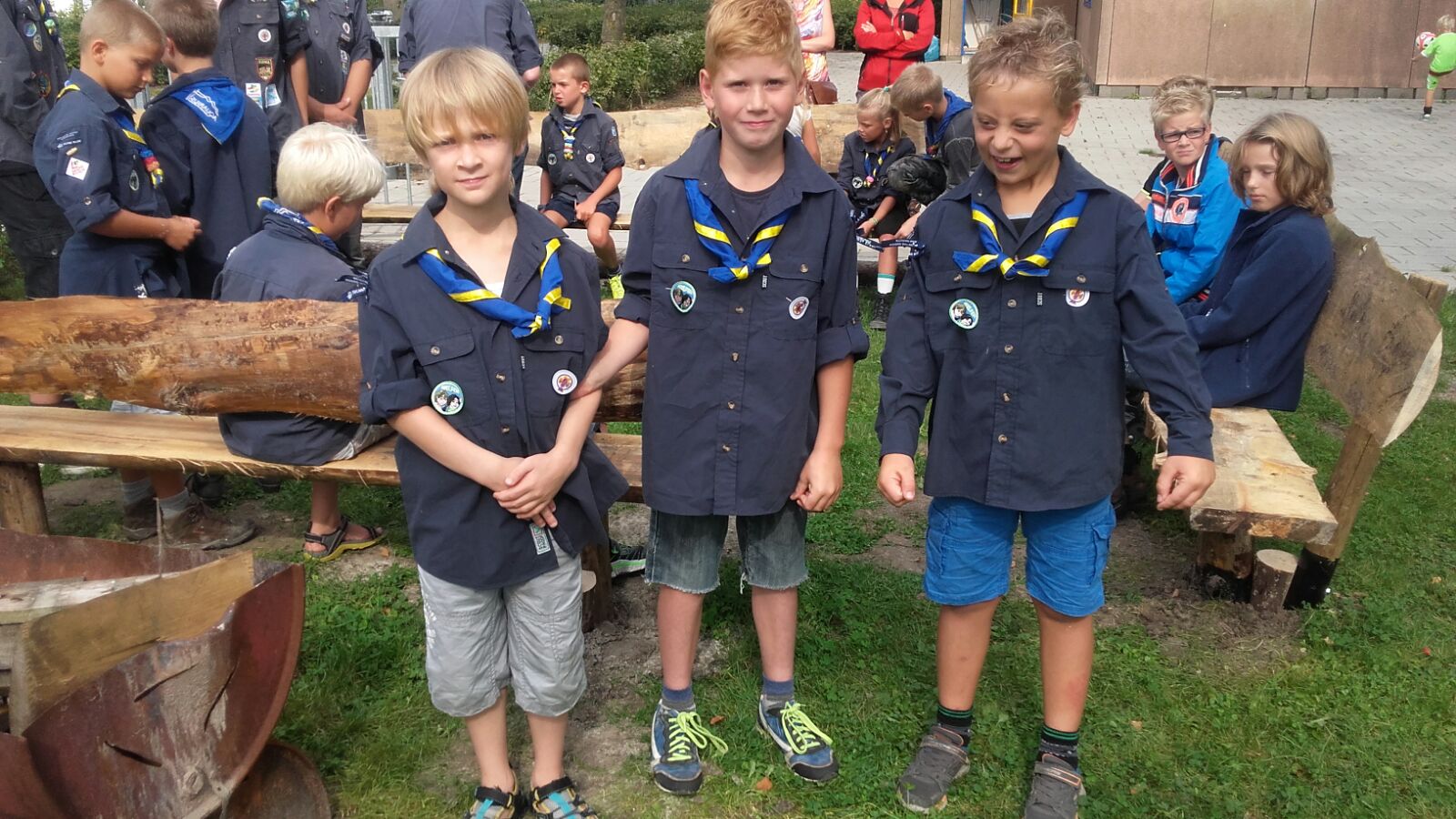 Drie nieuwe dolfijnen geinstalleerd