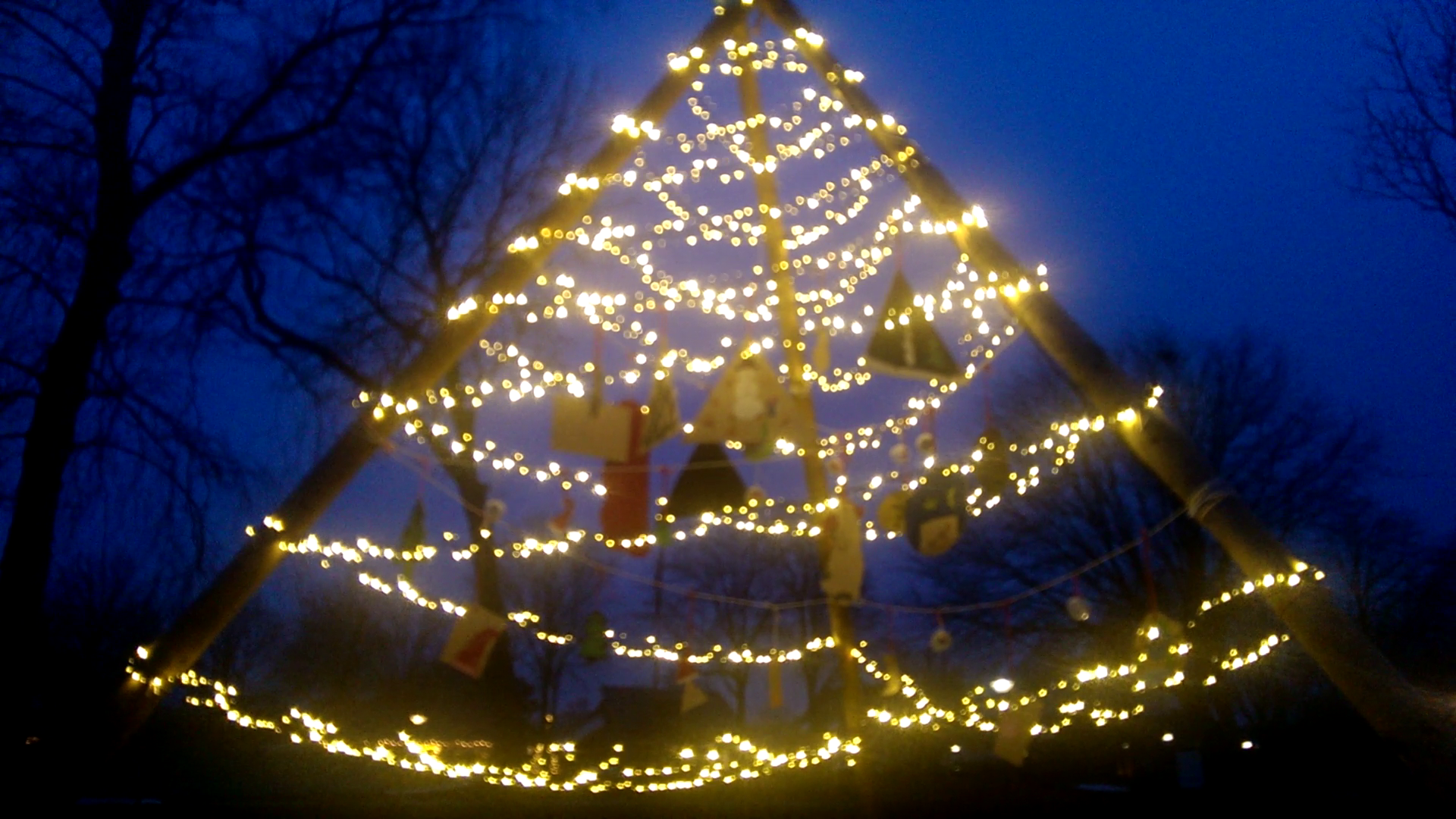 Kerstboom verlicht hele terrein !
