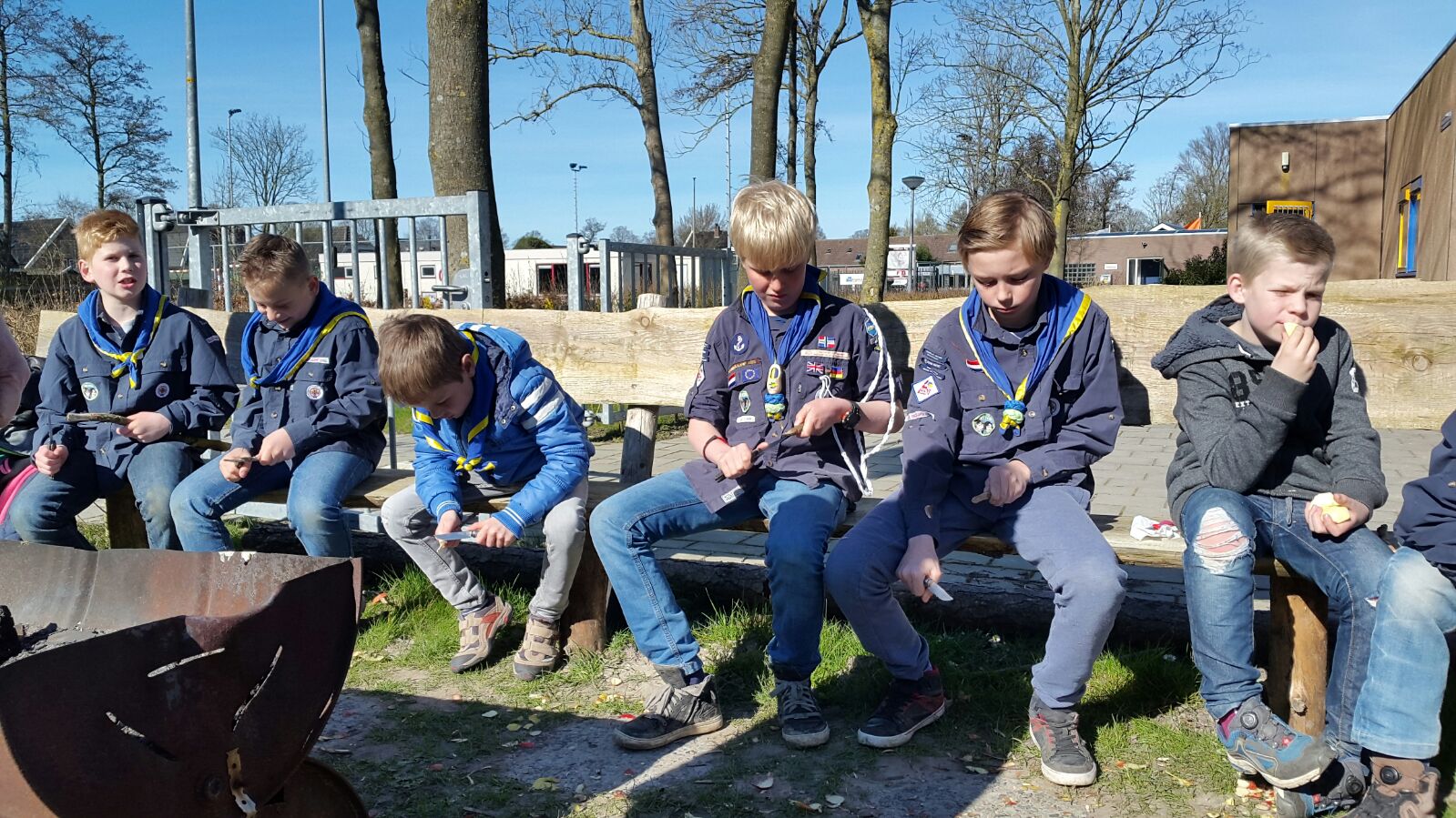 Dolfijnen lekker bezig