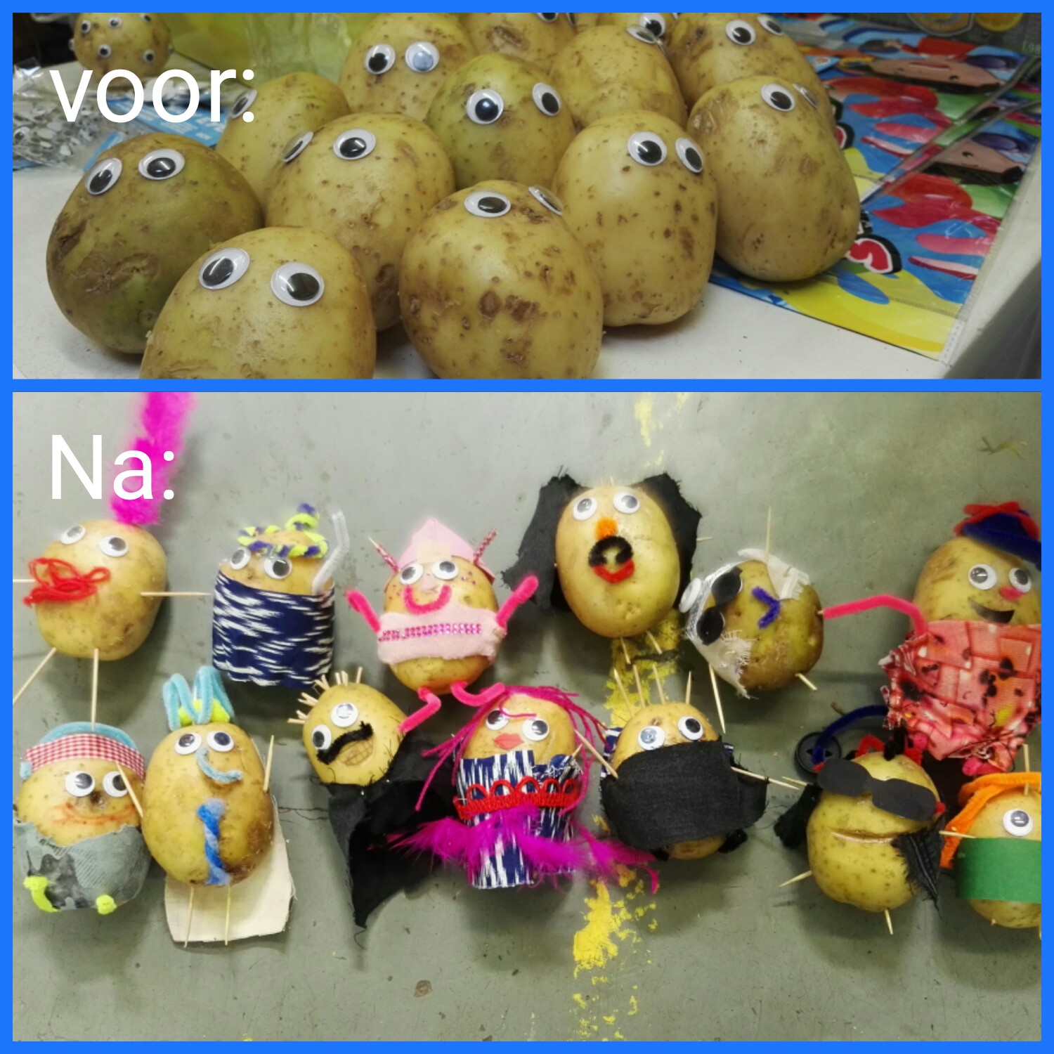 Aardappel Adoptie Kamp