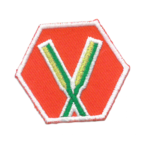 Zeeverkenners: insigne basis roeien