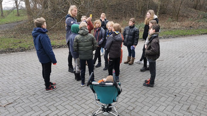Welpen hebben het naar hun zin!